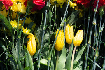 Bunch of vibrant flowers laying down near the eternal flame monument on military cemetery in honor...