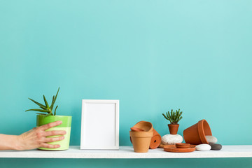 White shelf against pastel turquoise wall with pottery and succulent plant. Hand putting down potted succulent plant.