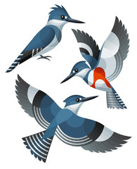 Stylized Birds - Belted Kingfisher