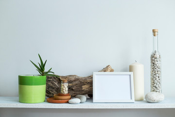 Obraz na płótnie Canvas Shelf against white wall with decorative candle, glass, wood and rocks. Home plant in pot.