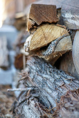 close up of firewood and bark