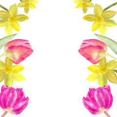 Watercolor spring flowers.Hand drawn illustration.