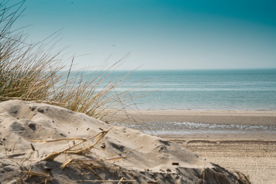 dune landscape, beach Burgh Haamstede, The Netherlands. North Sea coast