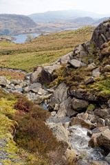 View of the valley from a flowing stream on the Cwmorthin Waterfall trail in the mountains of Snowdonia National Park, Wales.