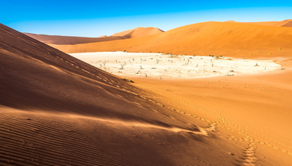 Red sand dunes in Deadvlei, Sossusvlei, Namib-Naukluft National Park, Namibia