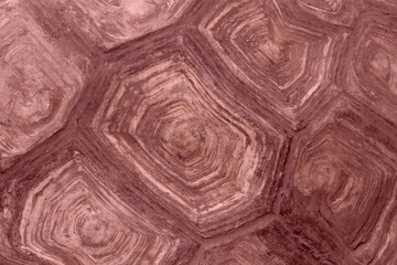 Blurred Pattern Of Tortoise Shell. Cropped Shot Of Tortoise Shell. Blurred Abstract Nature Background Texture.