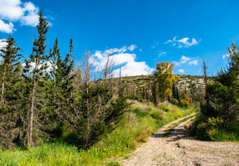 road in the mountains