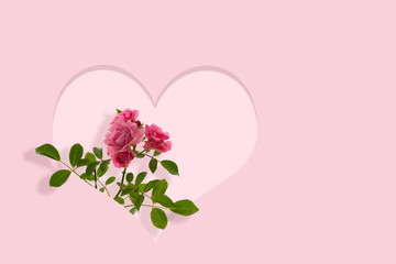 isolierte rosa rosenblüten mit blättern im herz, florale grußkarte für valentinstag oder muttertag