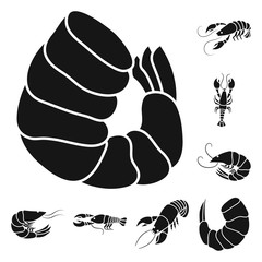 Vector design of meat and delicacy symbol. Set of meat and crab stock symbol for web.
