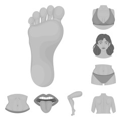 Isolated object of body and part sign. Collection of body and anatomy vector icon for stock.