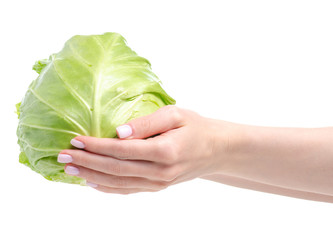 Young cabbage in hand on white background isolation