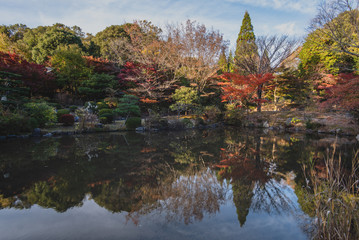 Japanese park in autumn in Nagoya,Aichi,Japan