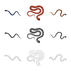 Vector design of mammal and danger symbol. Set of mammal and medicine vector icon for stock.