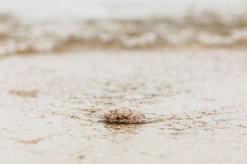 Fototapeta na wymiar Pebble being dragged into the ocean