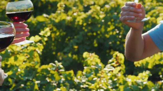 A group of friends clink glasses with red wine on the background of the vineyard. Wine tour and tourism concept