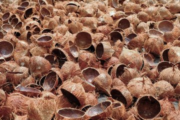 Pile of discarded coconut shells and husks, soft focus