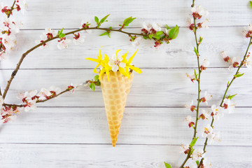 Blossoming apricot and ice-cream.