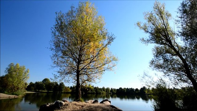 Idyllic autumn lake scenery from Great Spekte Lake (Grosser Spektesee) in Berlin Spandau from October 1, 2015, Germany