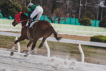 Horse racing in Japan