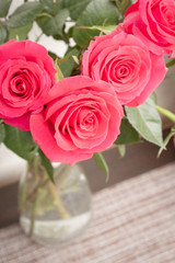 Beautiful lush red rose flower in full bloom