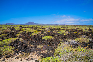 Spain, Lanzarote, Majestic volcano monte corona behind endless badlands malpais de la corona covered by plants