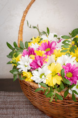 Fototapeta na wymiar Beautiful colorful chrysanthemum flowers in a wicker basket