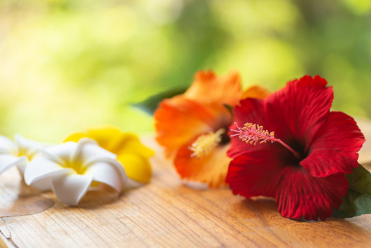 4 640 件の最適な ハワイのイメージ 画像 ストック写真 ベクター Adobe Stock