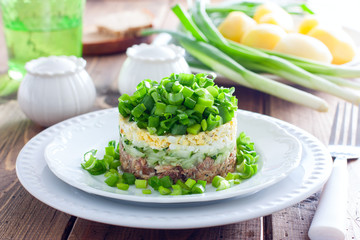Salad with canned fish and green onions on a white plate, horizontal