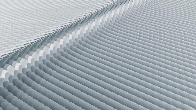 4K Scales of fish or snakes turn from one side to another. Beautiful background