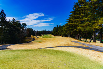 landscape of japanese golf course in chiba