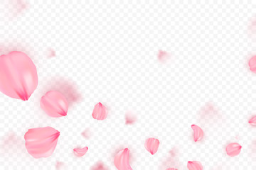 Pink sakura falling petals vector background. 3D romantic illustration. Transporent banner with sakura. Love card © Olha
