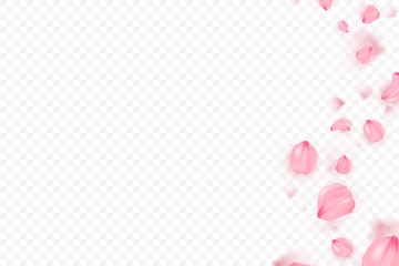 Pink sakura falling petals vector background. 3D romantic illustration. Transporent banner with sakura. Love card