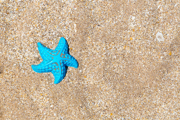 Beach´s toys. Small starfish made of light blue plastic over the beach.