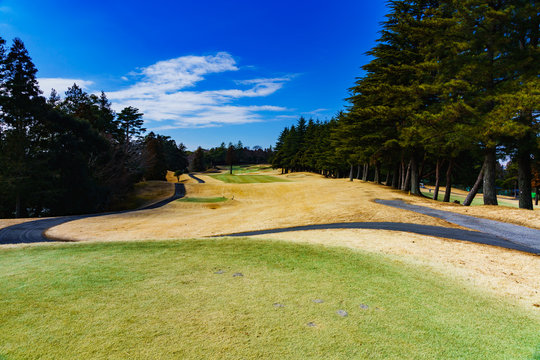 landscape of japanese golf course in chiba