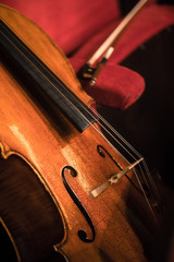 Vintage cello detail