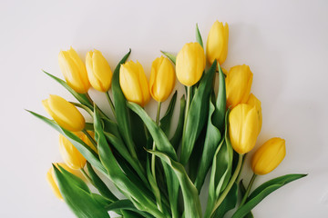 Beautiful tulips on white background. Flat lay, top view. Concept of Easter, March 8. Spring flowers
