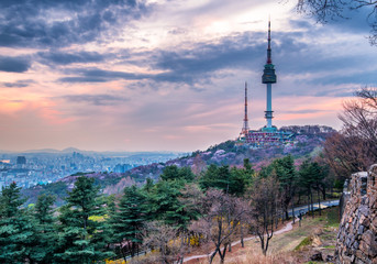 Obraz premium namsan mountain in spring at seoul city south korea