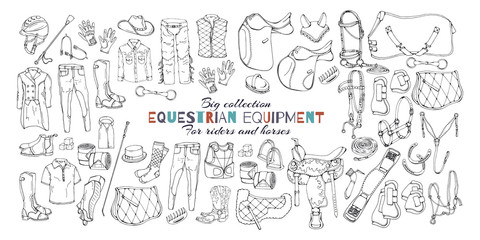 Vector illustrations on the equestrian equipment theme.