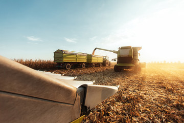 Harvest
