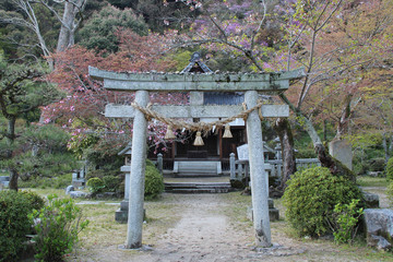 shinto shrine (kikko) in iwakuni (japan)