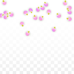 Vector Realistic Pink Petals Falling on Transparent Background.  Spring Romantic Flowers Illustration. Flying Petals. Sakura Spa Design. Blossom Confetti.