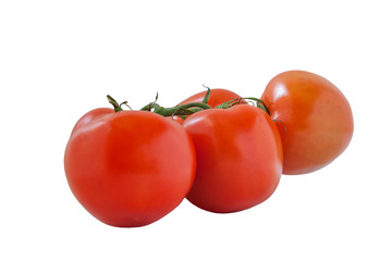 fresh organic soil tomatoes on branch isolated on white close up