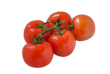 fresh organic soil tomatoes on branch isolated on white close up