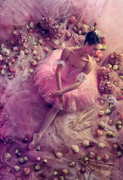 Perfect pink. Top view of beautiful young woman in pink ballet tutu surrounded by flowers. Spring mood and tenderness in coral light. Art photo. Concept of spring, blossom and nature's awakening.
