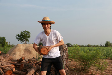 Man farmer standing and carrying timber beside the stack of firewood in the sugarcane farm and wearing a straw hat.