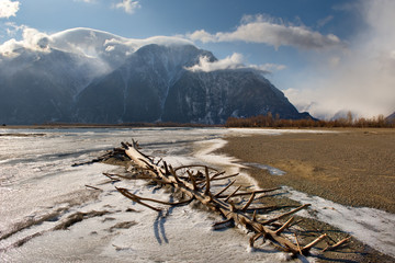 Russia. Mountain Altai. The valley of the Chulyshman river flows into Teletskoye lake.