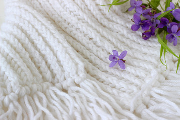  violet spring flowers on knitted background