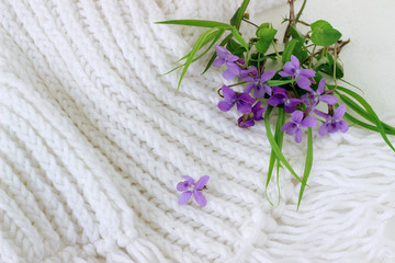Obraz na płótnie Canvas violet spring flowers on knitted background