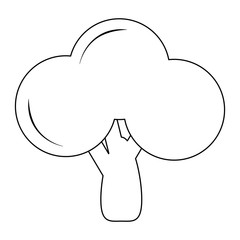 Broccoli heatlhy vegetable food black and white