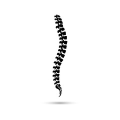 Vector human spine icon isolated silhouette.